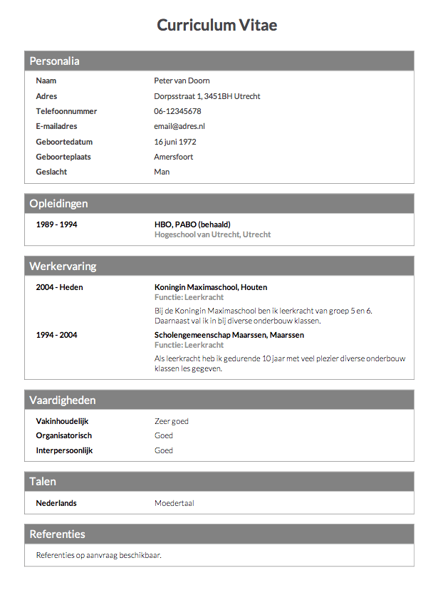 curriculum vitae downloaden